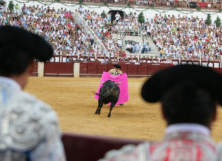 La Malagueta solo podría acoger a 800 espectadores durante la fase 3 de la desescalada