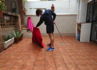 Escuelas Taurinas, en el limbo de la formación