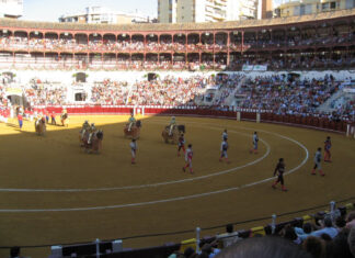 El mundo del toro se une para solicitar una equiparación con las restantes industrias culturales