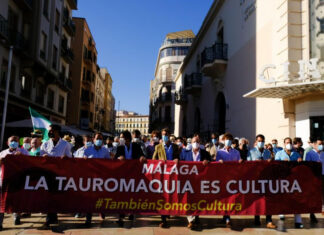 Un Paseo hasta La Malagueta para gritar que la Tauromaquia es Cultura