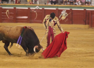 Vuelven los toros a Málaga y vuelve la magia del temple con Salvador Vega
