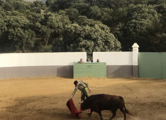 La puesta a punto de Fortes para su reaparición en Fuengirola