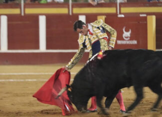 Noches de verano en la plaza de toros de Fuengirola