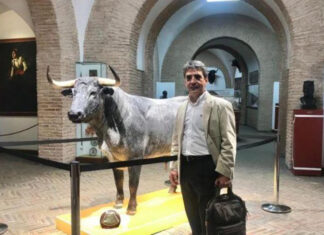 Victorino Martín: “Los toros se están intentando demonizar desde hace mucho tiempo”