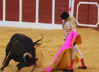 González-Écija, un triunfo de arte en la novillada del Circuito Andaluz celebrado en Antequera