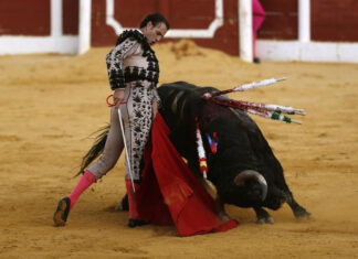 La vulgarización de lo excepcional con el indulto de un buen toro por un gran Finito de Córdoba en Antequera