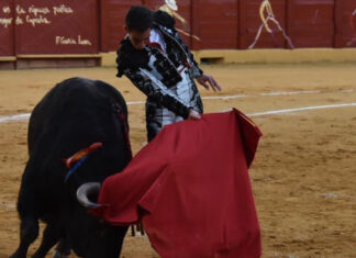 Fortes, más que valor