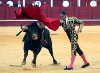 “Un pliego pionero” para la adjudicación de la plaza de toros de La Malagueta