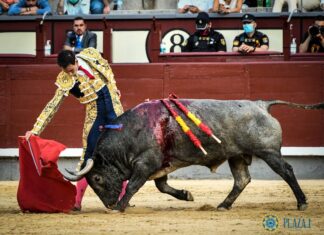 Fortes pospone su vuelta a los ruedos hasta mediados de temporada