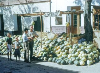A cala vendo melones (por Manuel Fernández Maldonado)