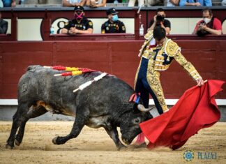 Fortes acudirá finalmente dos tardes a la plaza de toros mexicana de Xmatkuil