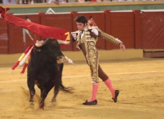 Salvador Vega, junto a Ventura y El Fandi, vuelve a Estepona tras su rotundo triunfo del pasado año