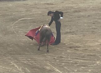 Triunfo de Molina y Payán en el Certamen Interprovincial