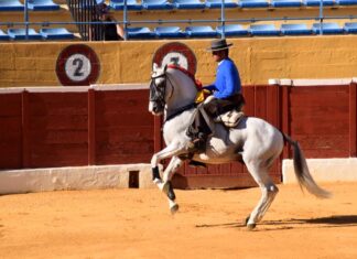 Ferrer Martín sigue sumando fechas: el 22 de agosto en Sabiote