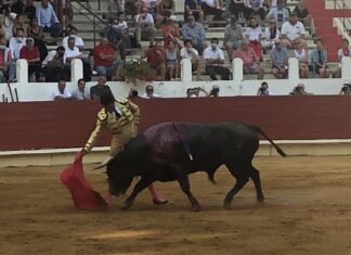Joaquín Galdós, con tres orejas, triunfador en Saint Vicent de Tyroisse