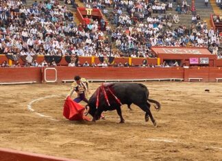 Joaquín Galdós, esta tarde en Saint Vicent de Tyrosse