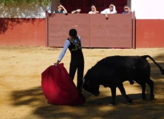 El Gali, representante este sábado de la Escuela de la Diputación en el Certamen Interprovincial