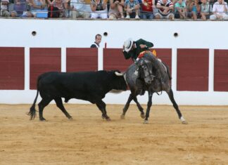 La Cuadra de Diego Ventura para esta tarde en Estepona