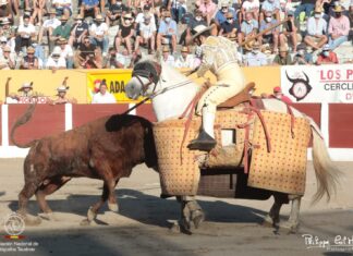 El picador Adrián Navarrete tendrá que ser operado de una fractura en la meseta tibial