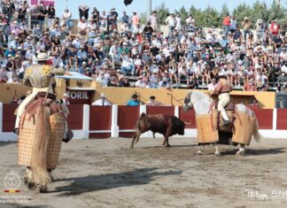 Los hermanos Navarrete, dos picadores malagueños en la vuelta al pasado de la Casta Navarra en Ceret