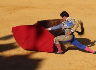 Ignacio Candelas en Antequera: Estar en novillero no es estar atropellado