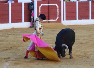 Los novilleros malagueños buscan apoyos para el Circuito de Andalucía 2022