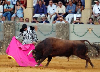 Pablo Aguado, primer torero confirmado para la Goyesca de Ronda