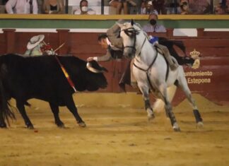 Estepona anuncia el único paseíllo de la temporada de Diego Ventura en la provincia de Málaga