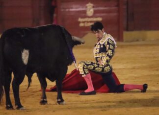 Salvador Vega, en maestro en un festejo triunfal en Estepona