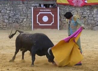 Ovación a Moli de Ronda de Villaluenga del Rosario