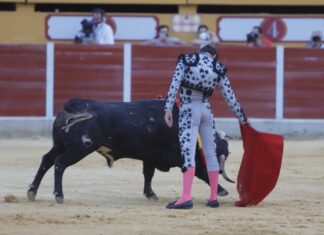 El Moli de Ronda, esta tarde en el Certamen Andaluz de Escuelas Taurinas