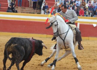 El rejoneador Ferrer Martín suma fechas y se centra en la alternativa