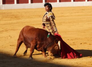 Pleno de las escuelas taurinas malagueñas en el Certamen Andaluz