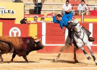 Ferrer Martín tomará la alternativa en Fuengirola con Ventura y Leonardo