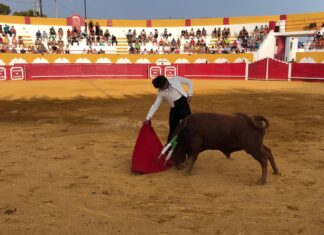 Fran Jerez pincha y es ovacionado en Alcudia de Guadix