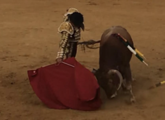 Tarde triunfal de Julio Alguiar en Castellar, que corta tres orejas
