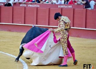 21 de agosto de 2015, el último paseíllo de Salvador Vega en La Malagueta