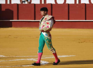 Antonio Ferrera sustituirá a Cayetano en La Malagueta