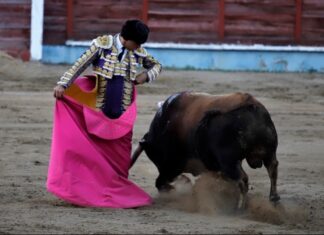 Joaquín Galdós se apunta a la de Miura en Aranda de Duero