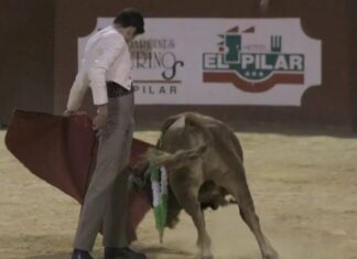 El Gali, hoy en el Bolsín de La Carlota