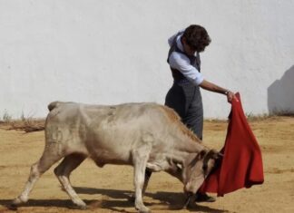 Orozco torea hoy en Roa de Duero… pero no será su despedida de novillero