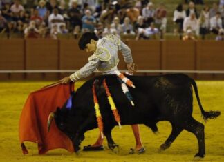 Álvaro Passalacqua: “Lo más importante es ser fiel a uno mismo y a lo que pienses”