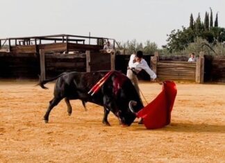 Juan Carlos Benítez estoquea dos toros de Virgen María de cara a su preparación para La Malagueta