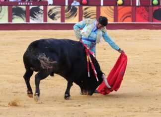 Morante, arte y disposición para el regreso de los toros a La Malagueta