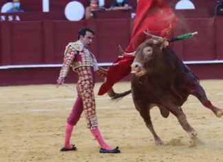 Premio a la actitud de José Antonio Lavado, que no desaprovecha la oportunidad