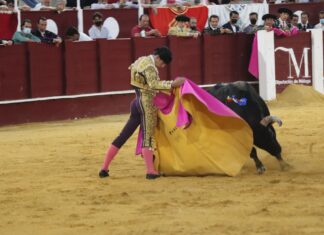 Pablo Páez, único malagueño que estará en el bolsín del Circuito de Novilladas de Andalucía