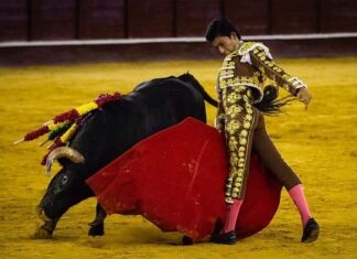 Julio Alguiar, en el Certamen de Novilladas de Castellar