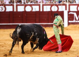 Juan Carlos Benítez: “Si soy capaz de triunfar en Málaga, puede que para octubre tengamos la alternativa”