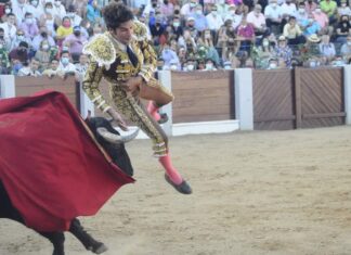 Pendientes de la cogida de Cayetano Rivera, duda para el sábado 21 en La Malagueta