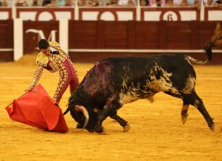 José Antonio Lavado: “La mayor ilusión que tengo es cortar dos orejas en la Malagueta”